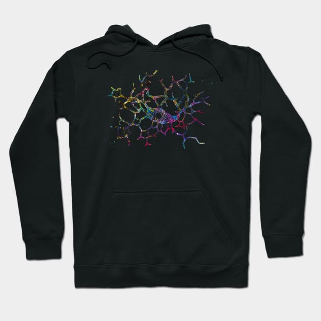 Pigment Cells Hoodie by erzebeth